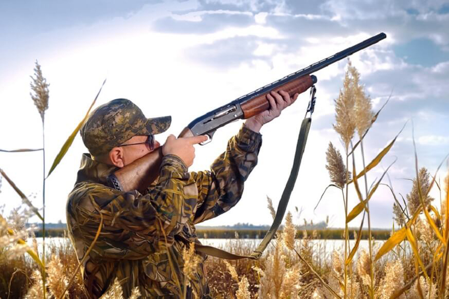 Объявление. Лимиты и квоты добычи охотничьих ресурсов в сезоне охоты 2020-2021 годов на территории Боровского района.